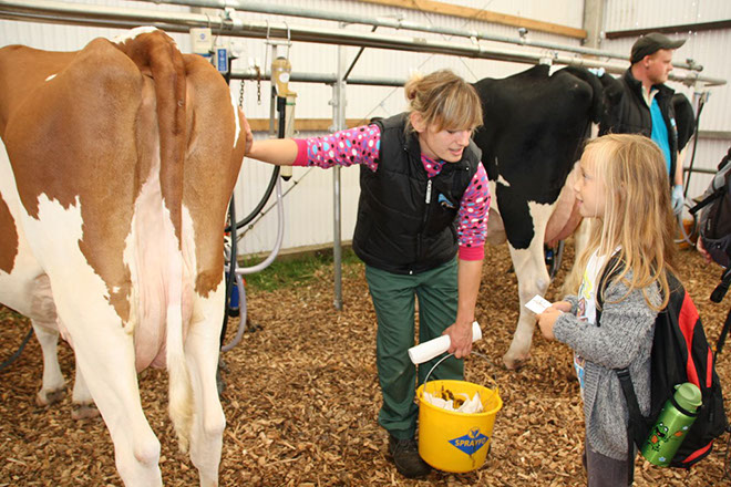 Wer viel fragt wird klug