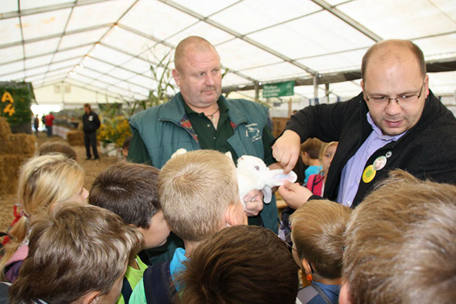 nummerierte Kaninchen