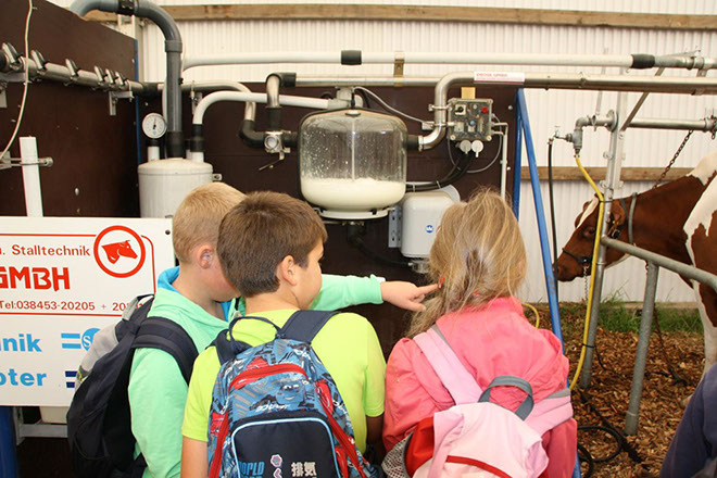 woher kommt die Milch