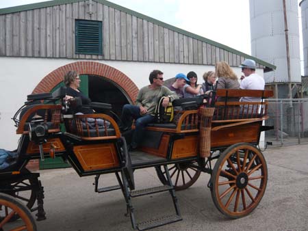 20 Kutschenfahrt auf der Insel Poel