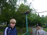 03 Tierpark