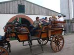 20 Kutschenfahrt auf der Insel Poel